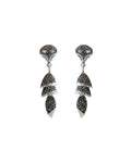 aretes cacomixtle XL