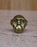 Anillo chimpancé
