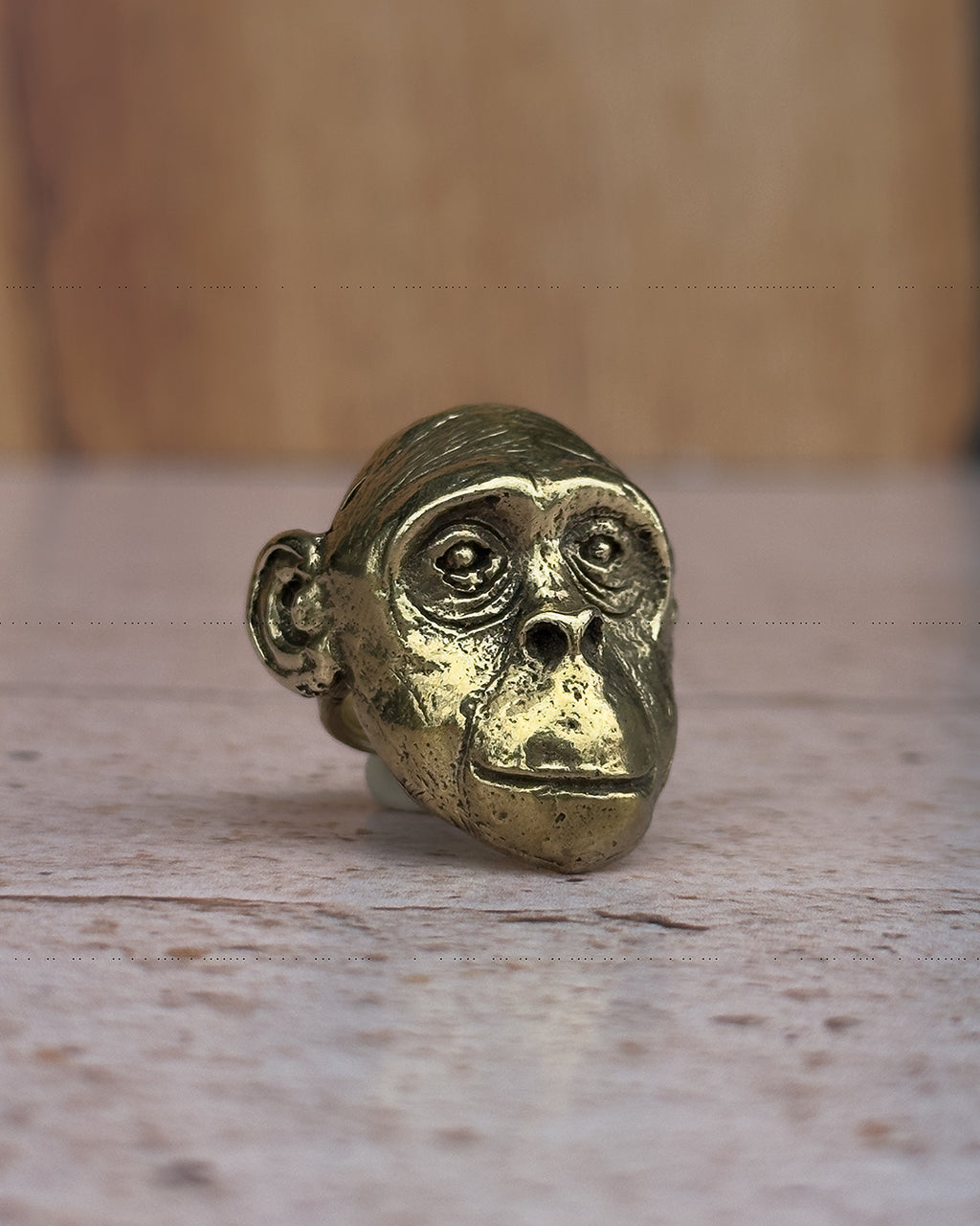 Anillo chimpancé