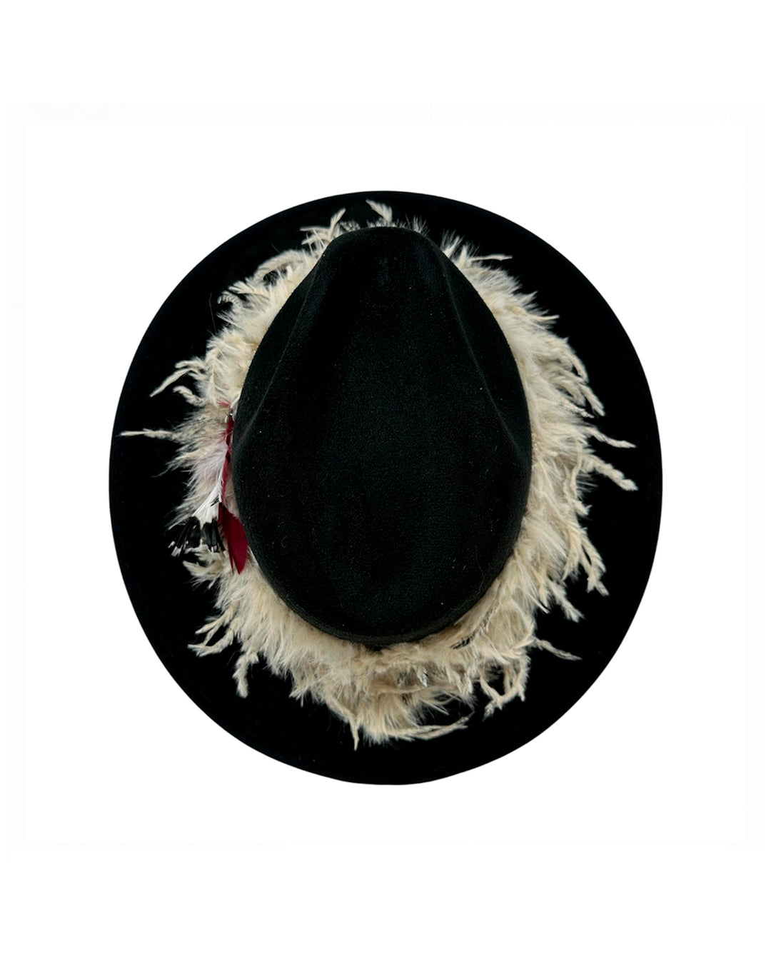 Plumas