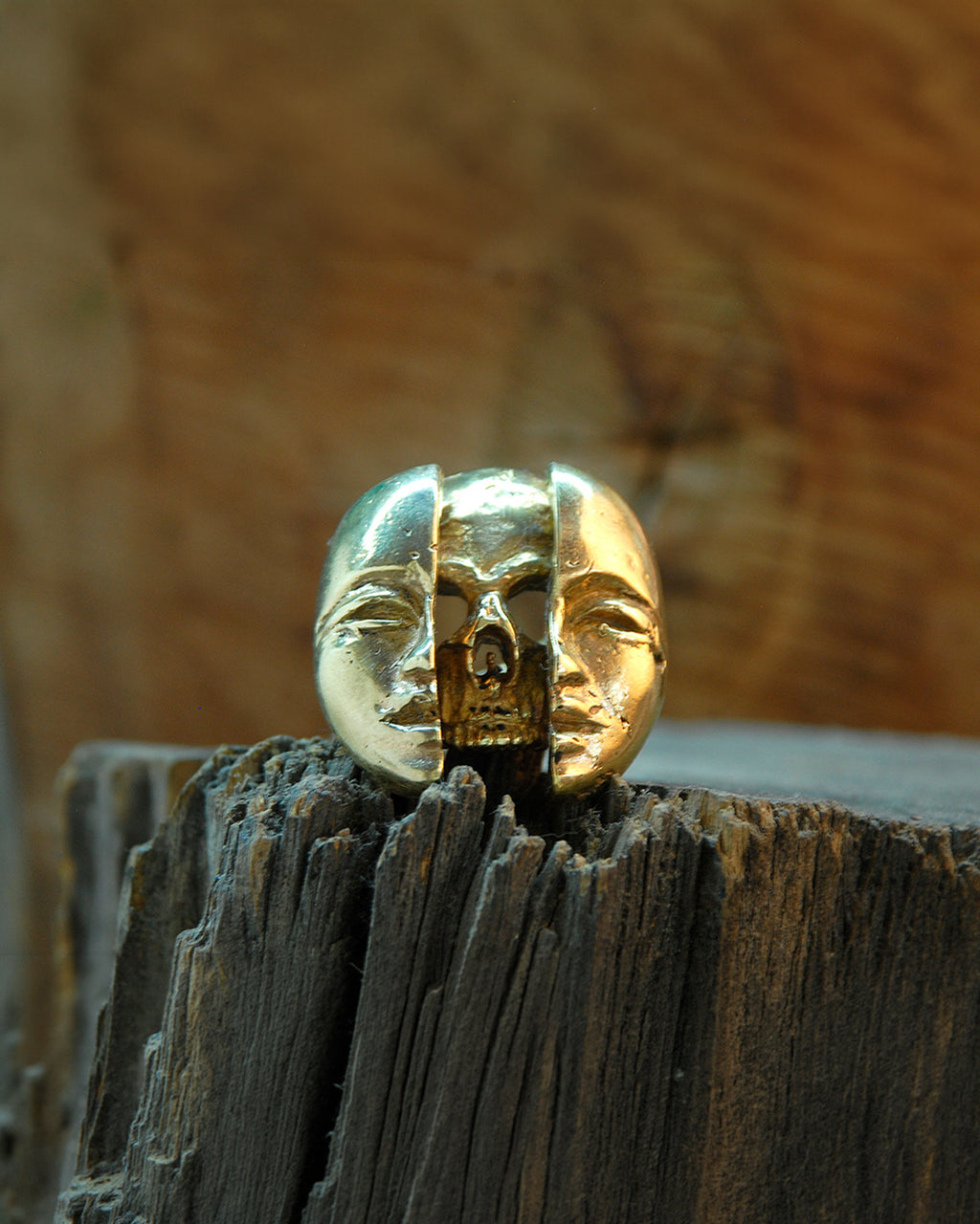 anillo dualidad