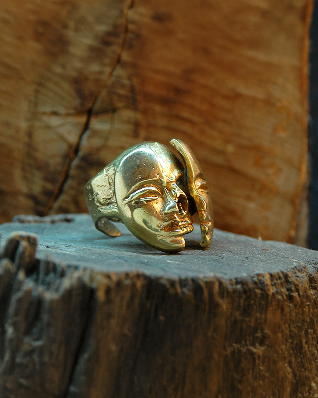 anillo dualidad