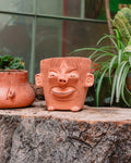 Maceta: Pancracio