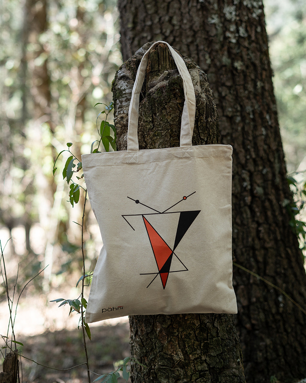 Tote Bag xamue