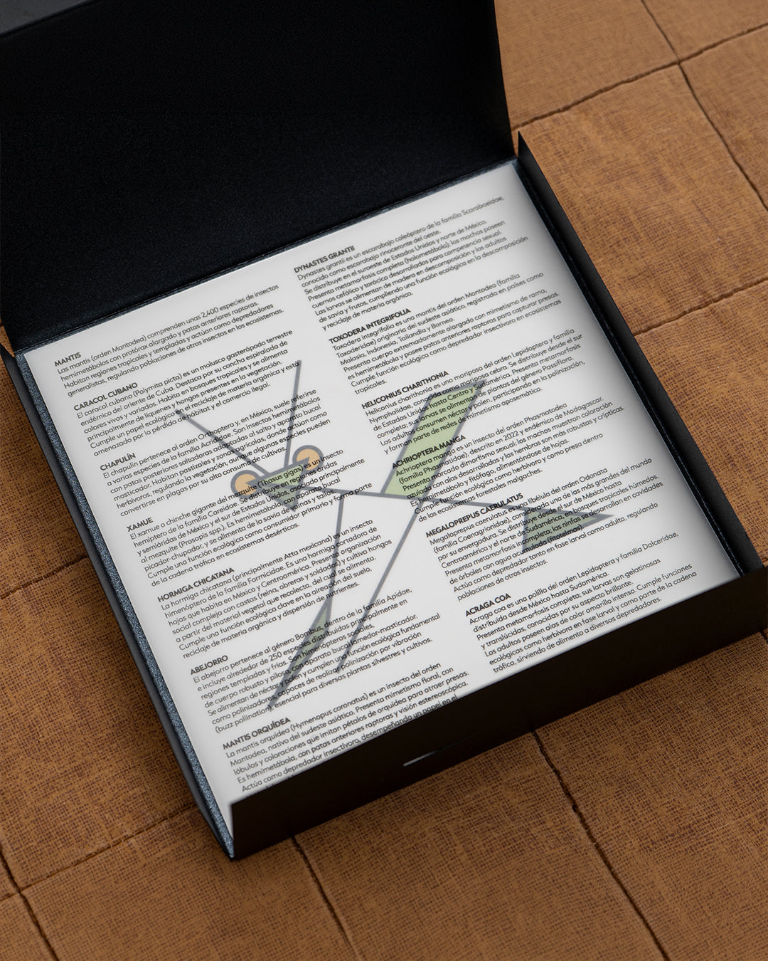 Print Mantis Toxodera