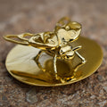 anillo y broche catarina