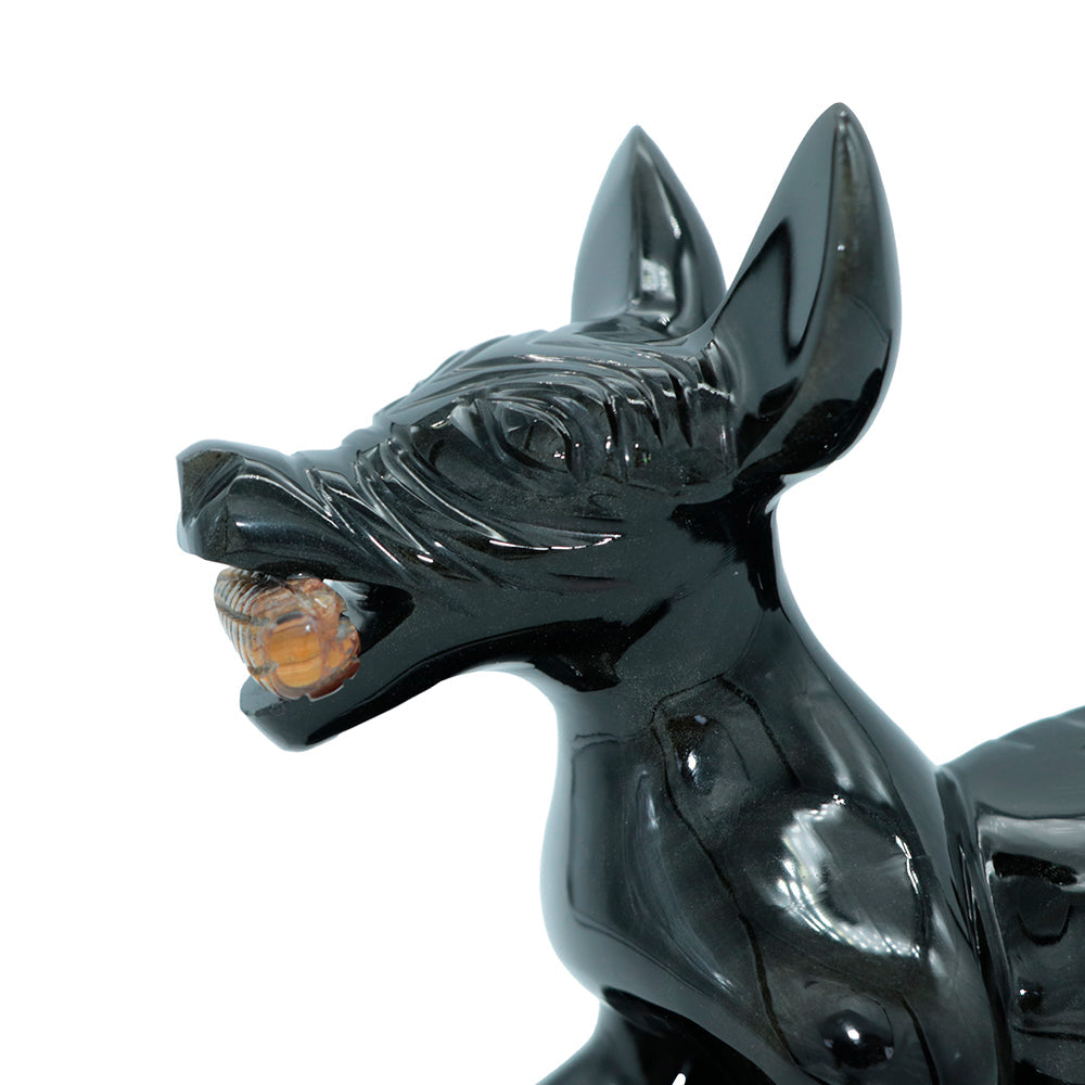 Perro con mazorca