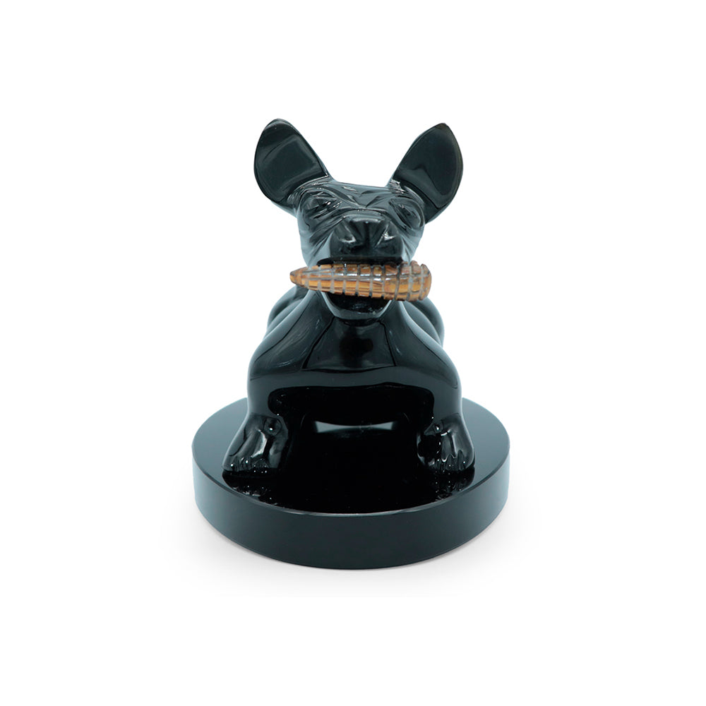 Perro con mazorca