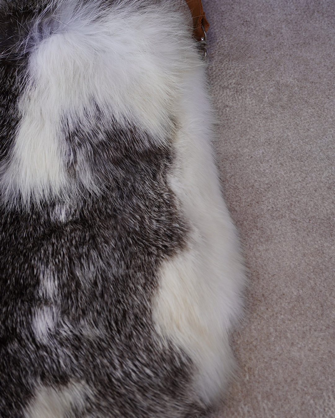 bolsa conejo mediana H