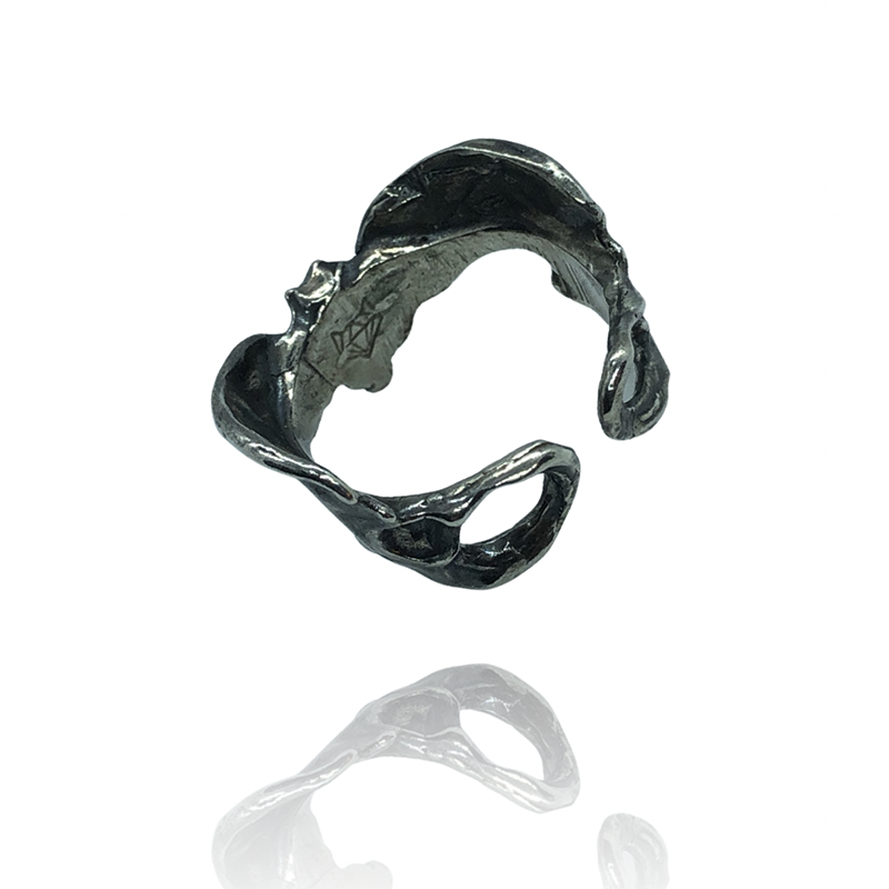 anillo cadera