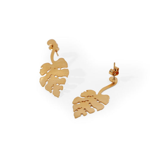 broquel leaf love esqueleto