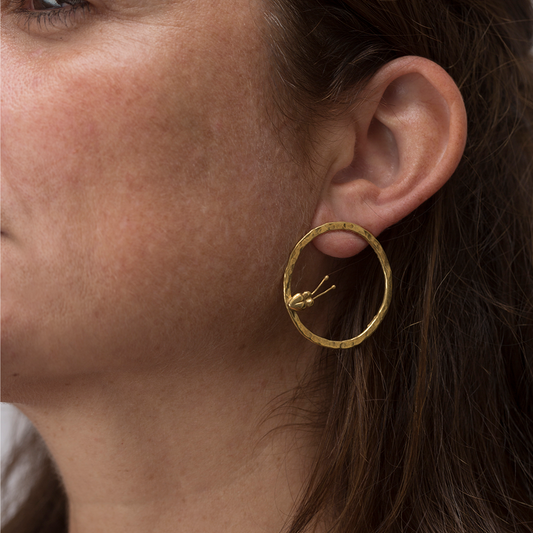 aretes circles of picassos